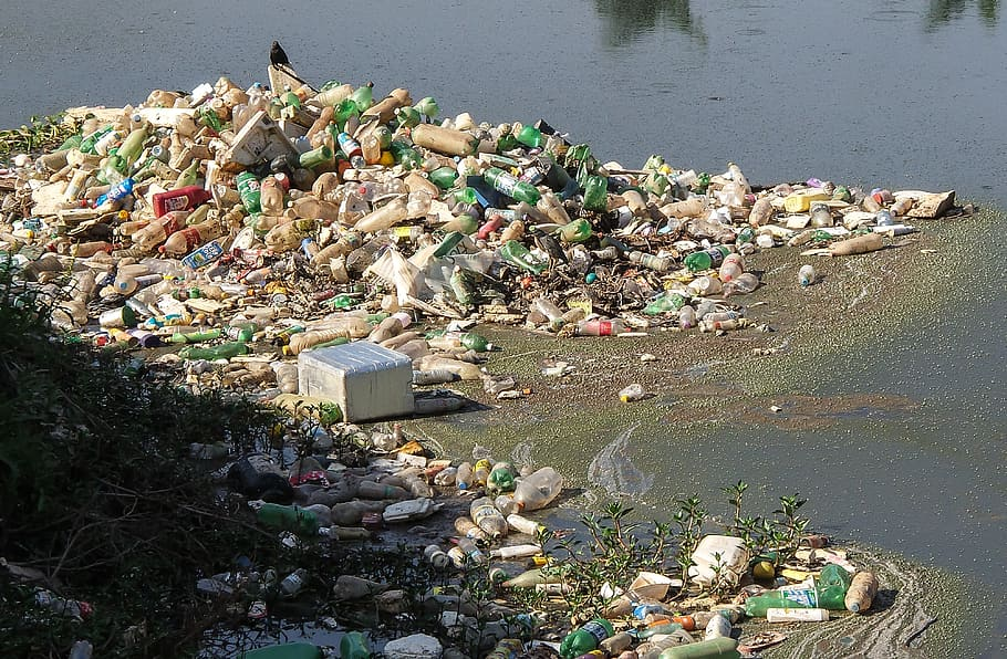 Image of solid waste in water.