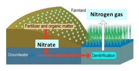 Image of a water denitrification system.