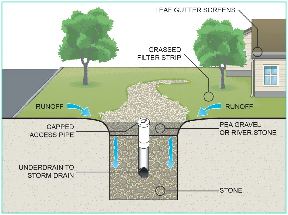 Image of stormwater being managed.